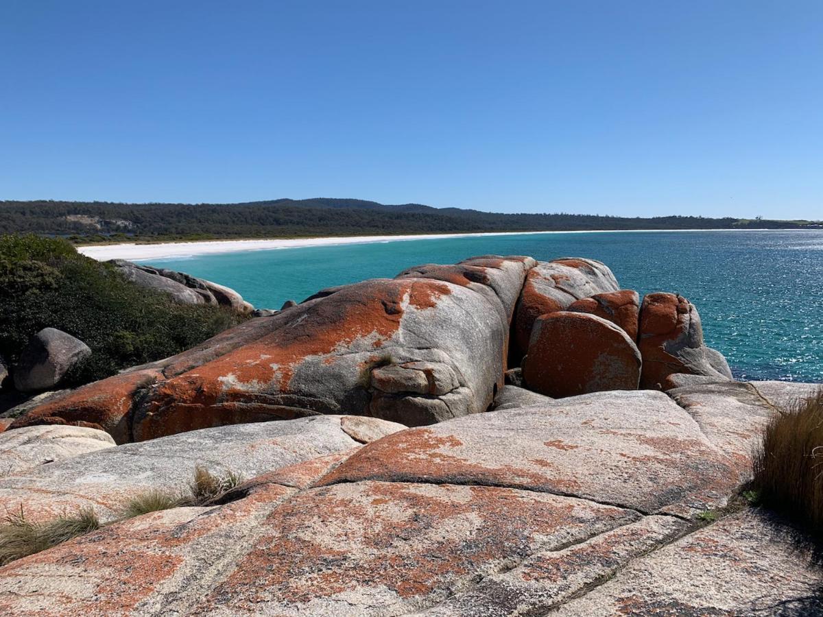 Bay Of Fires Great Escape Villa Binalong Bay Exterior photo
