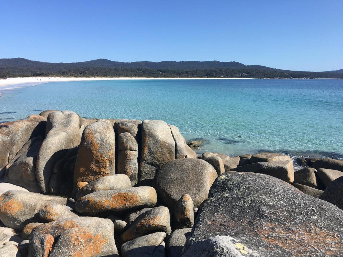 Bay Of Fires Great Escape Villa Binalong Bay Exterior photo